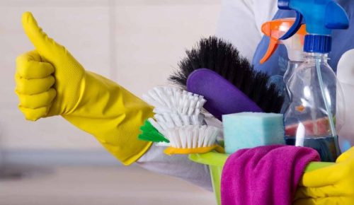 TEMİZLİK ÜRÜNLERİ